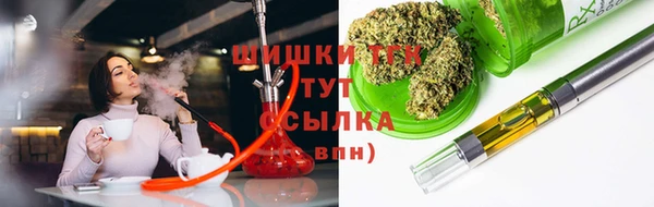 таблы Бородино