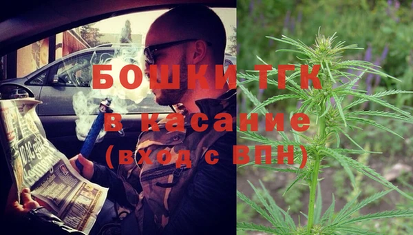 таблы Бородино