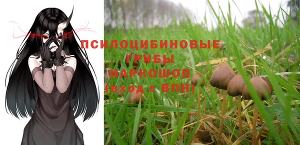стафф Верхний Тагил