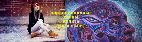 таблы Бородино