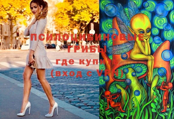 таблы Бородино