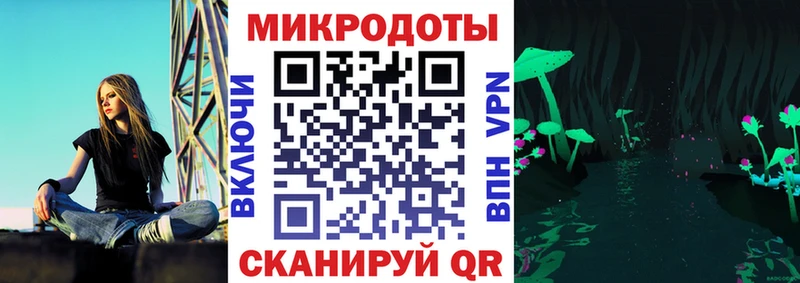 omg ссылки  Грозный  Псилоцибиновые грибы Cubensis 